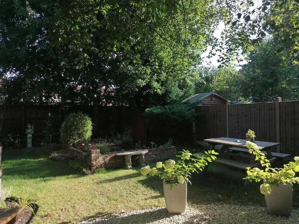 The guest garden at The Claremont Guest House