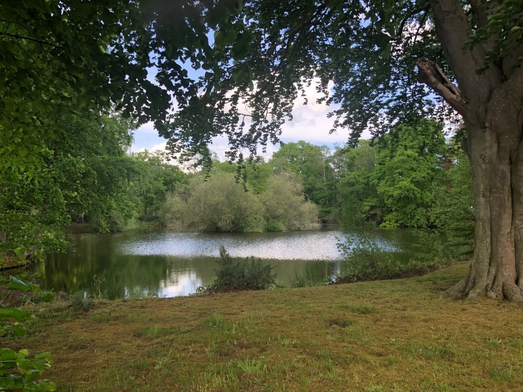 A peaceful fishing lake at Woodhall Country Park