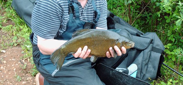 Fishing at Willow Holt Caravan and Camping Park