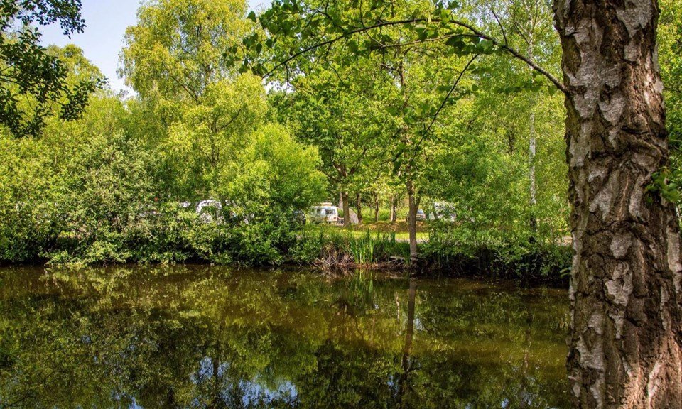The lake and woodland at Woodhall Spa Camping and Caravanning Club Site