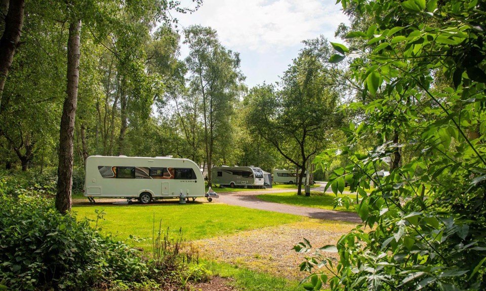 Caravans among trees at Woodhall Spa Camping and Caravanning Club Site