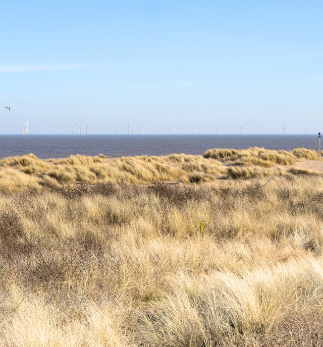 Natural sandy beach on the Lincolnshire Coast