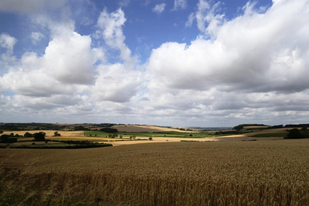 Rolling fields and hedgerows in the Lincolnshire Wolds