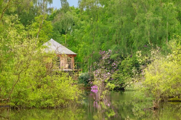 Treetop Hideaways treehouse beside the lake in woodland