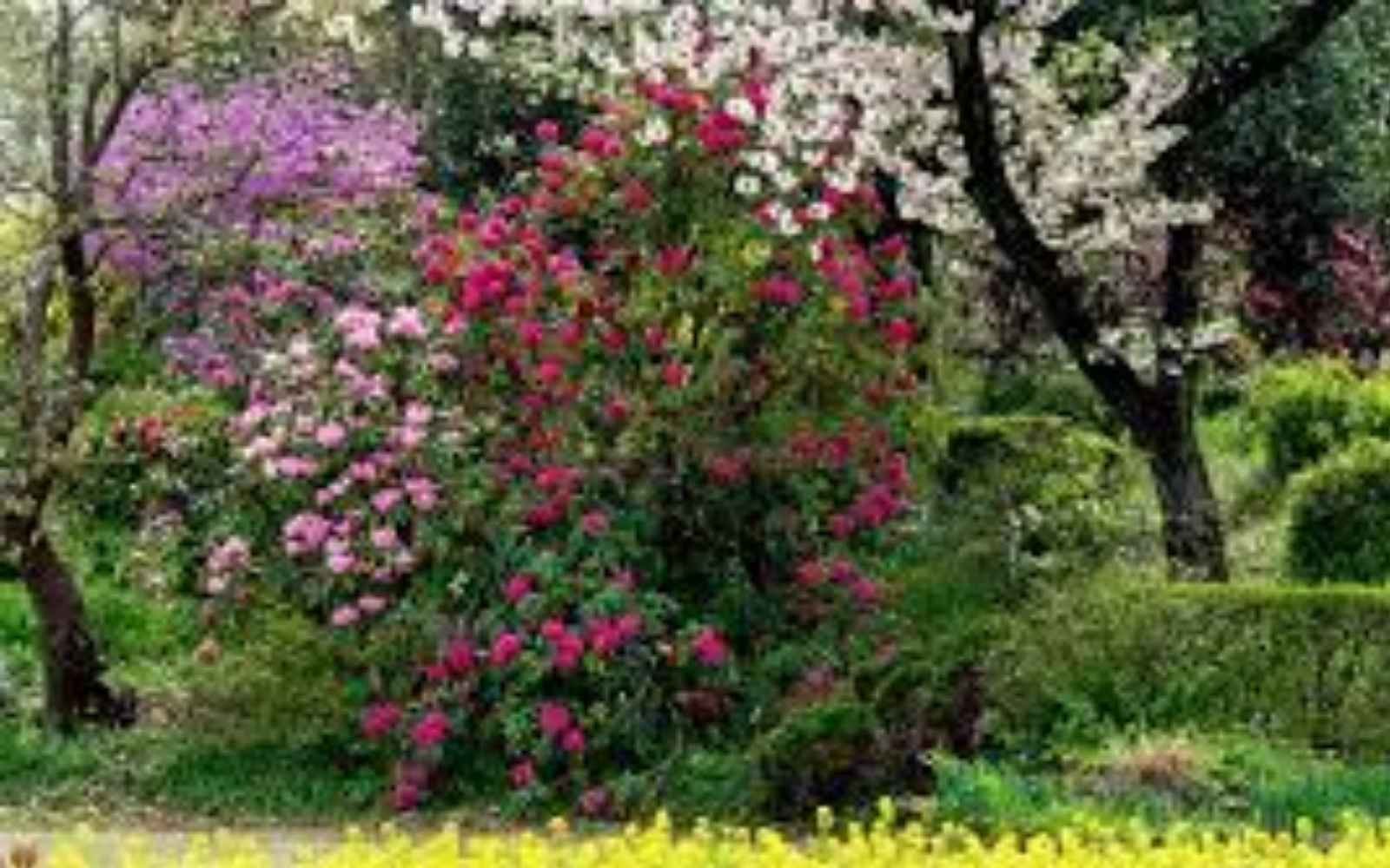 Woodhall Spa Garden Club members